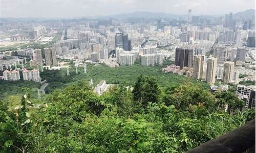 深圳南山公园有多高,深圳南山公园最高点是