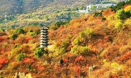 北京森林公园有哪些景点介绍_北京森林公园