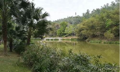 龙岗龙城公园怎么去地铁站,龙岗龙城公园怎么去