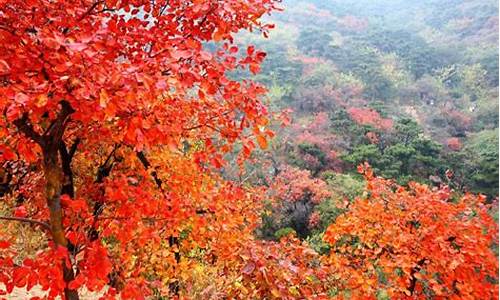 北京香山公园开放时间_北京香山公园开放时间是几点