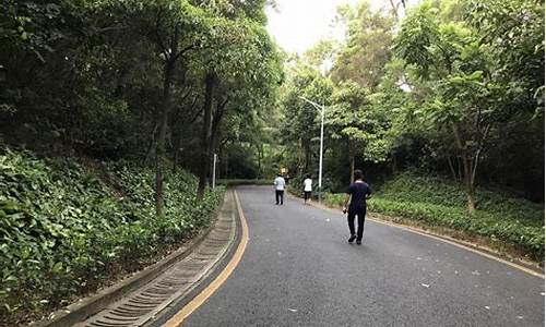 深圳铁仔山公园跑步_深圳铁仔山公园恐怖的原因