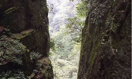 天目山旅游攻略两日游多少钱_天目山旅行