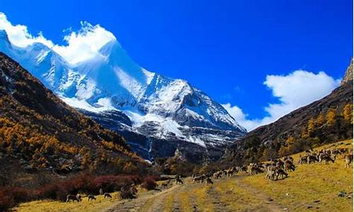 甘孜稻城亚丁旅游攻略,四川省甘孜州稻城亚丁地理位置