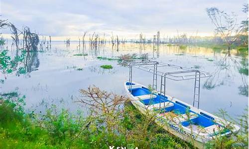 纳瓦沙湖旅游攻略_纳瓦沙湖 河马