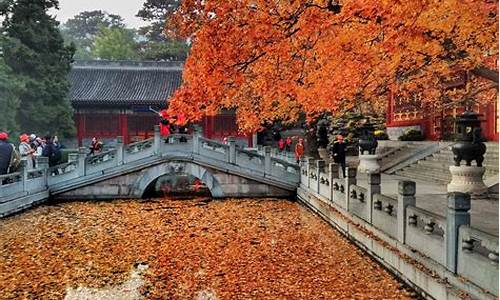 北京香山公园旅游攻略一日游,北京香山公园游览图和攻略