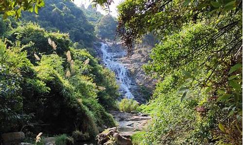 马峦山郊野公园攻略,马峦山郊野公园攻略 入口