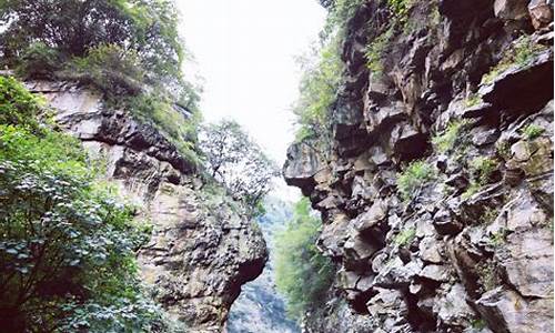 红河谷森林公园风景区,红河谷景区怎么样门票多少钱