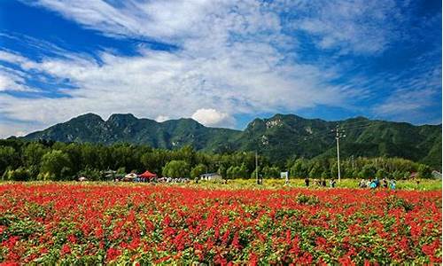 延庆花海自驾路线_延庆花海景点怎么样