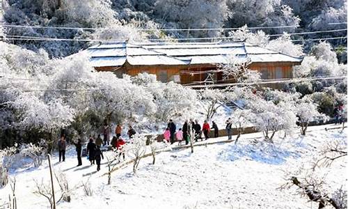 冬季重庆旅游攻略_冬季重庆旅游攻略大全