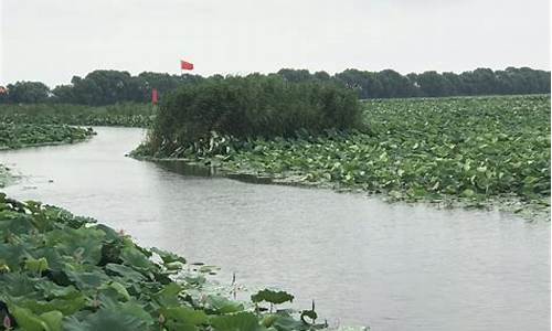 洪湖风景区游玩攻略_洪湖旅游景点门票