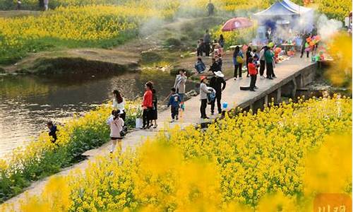 四川春季旅游攻略,四川春季旅游攻略一日游