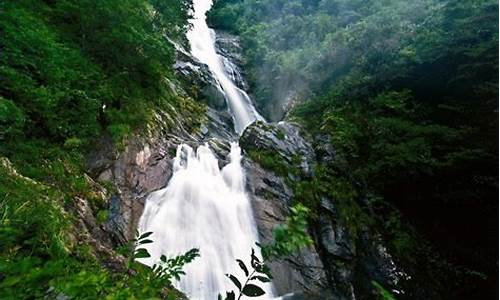 浙江天目山旅游攻略自驾游_浙江天目山风景区在哪里