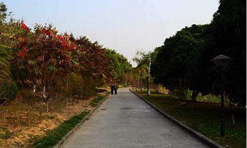 广州龙头山景区门票多少钱_广州龙头山森林公园介绍