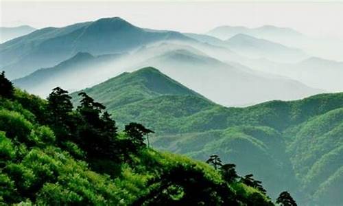 天目山旅游攻略三日游推荐_天目山旅游线路