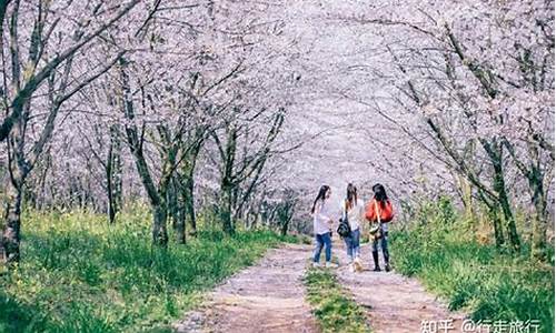 春季旅游景点排行,春季旅游景点排行榜河北周边有哪些