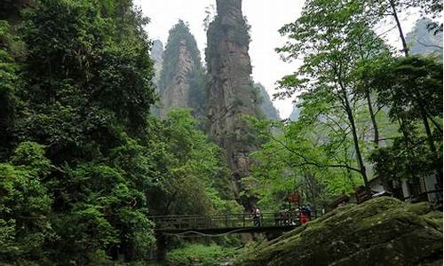 武汉至张家界自驾游攻略_武汉到张家界旅游攻略自由行三天