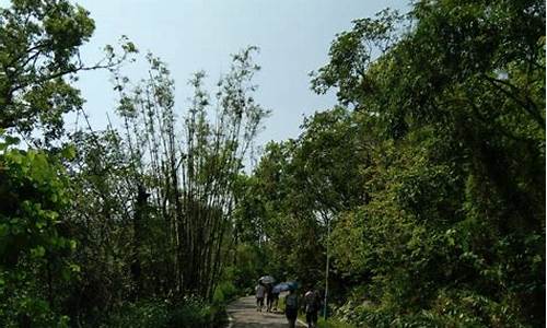 珠海石花山公园索道,珠海石花山公园索道价格