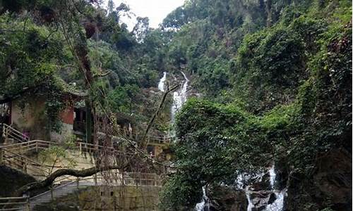 鼎湖山旅游攻略一日游最佳路线,鼎湖山旅游攻略一日游最佳路线