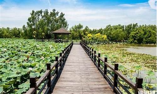 南沙湿地公园游船票价,南沙湿地公园学生票