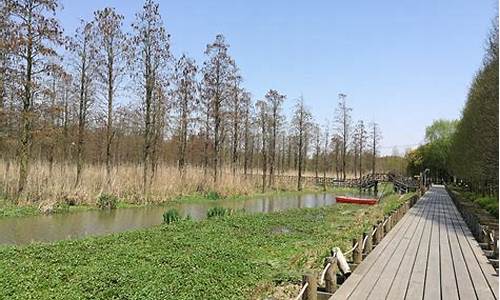 西青郊野公园地图,西青郊野公园