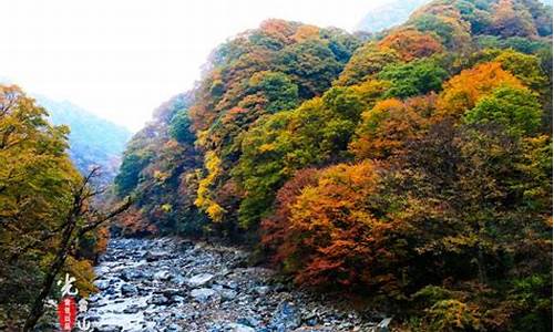 四川光雾山风景区门票价格,四川光雾山旅游攻略路线