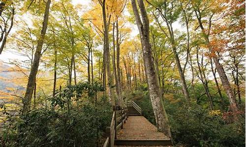 光雾山旅游攻略自驾游两天_光雾山旅游攻略自驾游两天多少钱