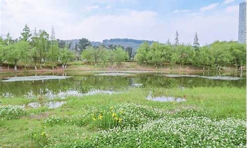 湿地公园在哪里,贵阳湿地公园在哪里