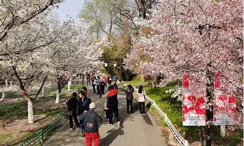 玉渊潭公园樱花节攻略,玉渊潭公园樱花节门票价格