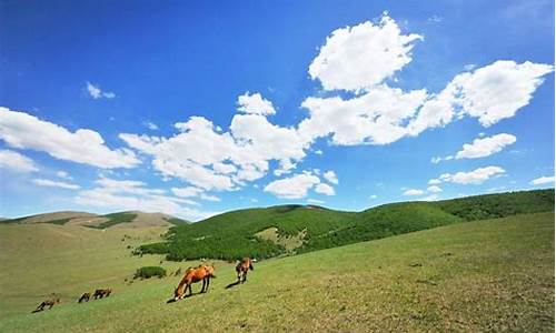 丰宁坝上草原旅游攻略_丰宁坝上草原旅游攻略2天自驾车