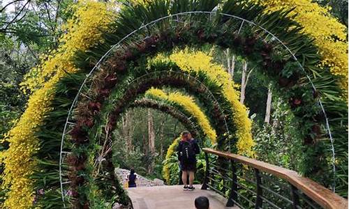 预约深圳仙湖植物园门票_深圳市仙湖植物园攻略