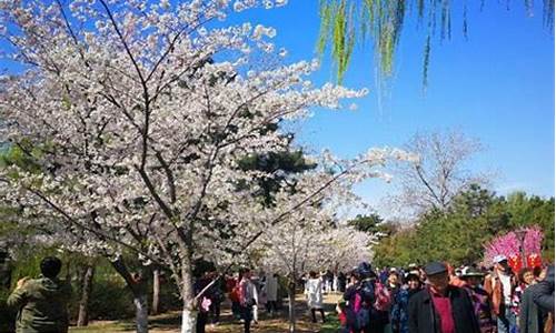 清明节北京旅游攻略,清明节北京景点