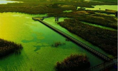 宁波慈溪杭州湾湿地公园_宁波杭州湾湿地公园门票价格