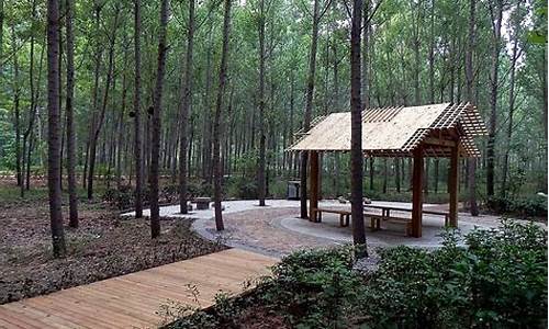 郑州森林公园便宜旅馆,郑州森林公园便宜旅馆多少钱