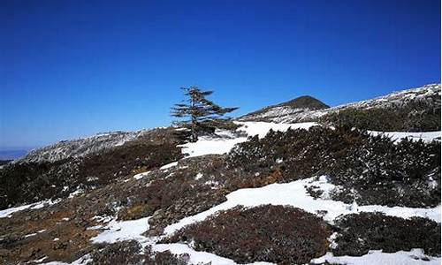 轿子雪山自驾游攻略_轿子雪山徒步攻略