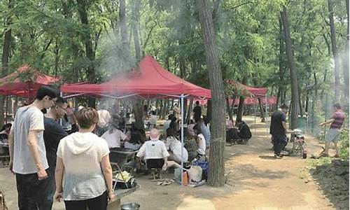 森林公园烧烤园,森林公园bbq