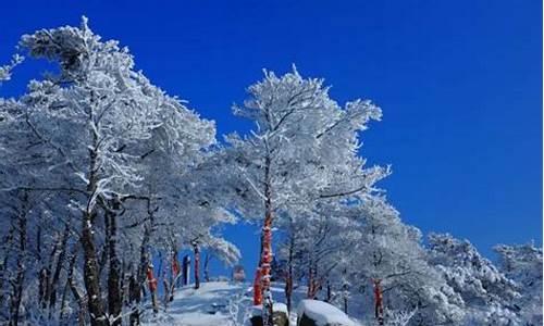 山东冬季旅游攻略-山东冬季旅游攻略自由行最佳线路