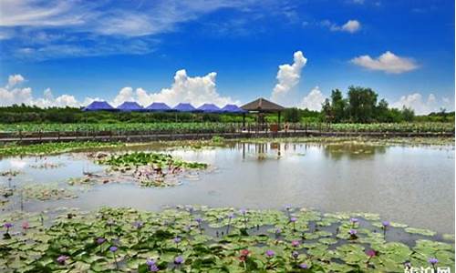 南沙湿地公园住宿-南沙湿地公园酒店