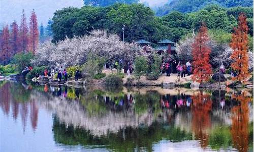 推荐旅游景点的文案-春季旅游景点推荐文案