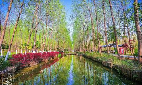 合肥滨湖湿地公园怎么样-合肥滨湖湿地公园跑步路线