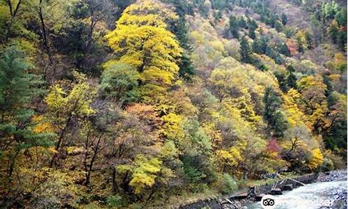 理县米亚罗风景区-理县米亚罗旅游攻略