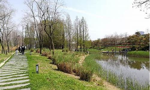 上海湿地公园推荐游玩,上海湿地公园推荐