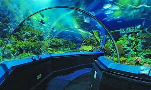 上海海洋水族馆游玩攻略,上海海洋水族馆攻略一日游