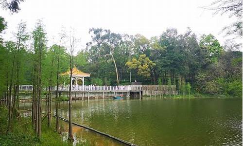 广州天鹿湖森林公园在什么地方怎样去有地铁到吗,广州天鹿湖公园路线